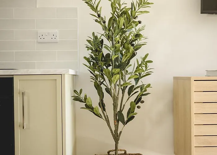 Апартаменты The Old Schoolhouse - Teacher's Quarters Донегол